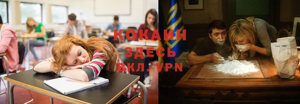 амф Богданович