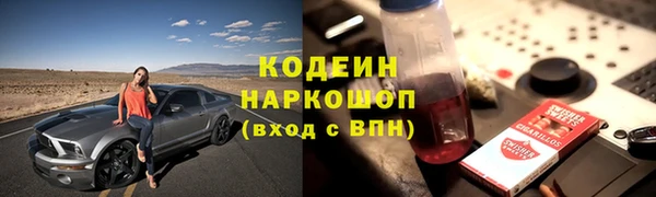 амф Богданович