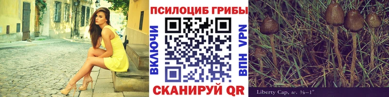 Псилоцибиновые грибы MAGIC MUSHROOMS  ОМГ ОМГ вход  Нерехта 